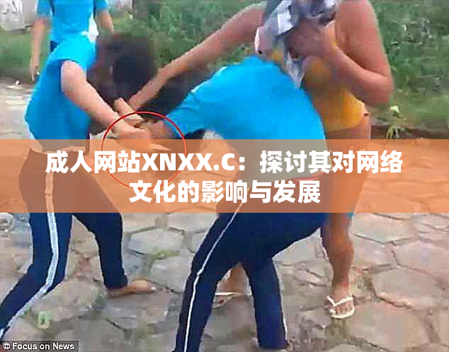 成人网站XNXX.C：探讨其对网络文化的影响与发展