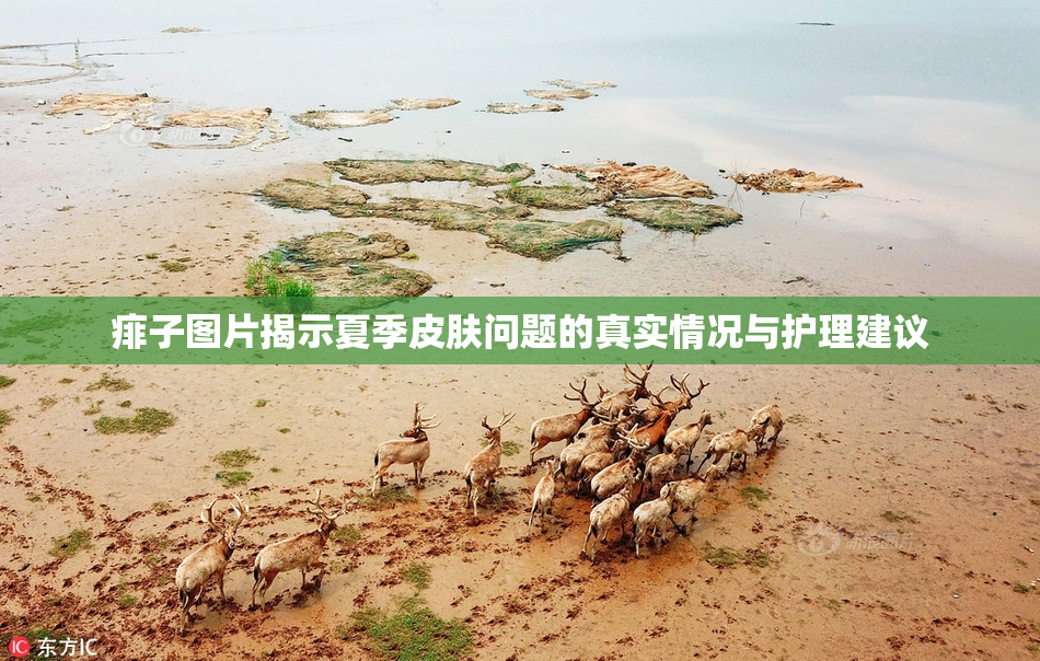 痱子图片揭示夏季皮肤问题的真实情况与护理建议