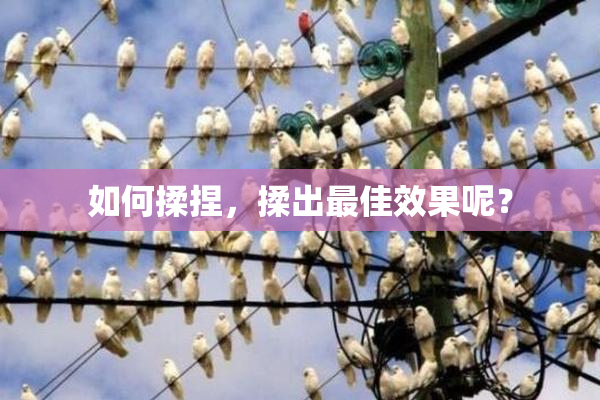 如何揉捏，揉出最佳效果呢？
