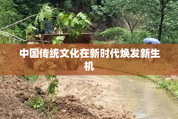 中国传统文化在新时代焕发新生机