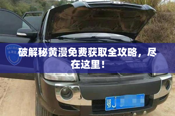 破解秘黄漫免费获取全攻略，尽在这里！