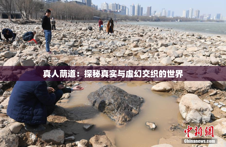 真人荫道：探秘真实与虚幻交织的世界
