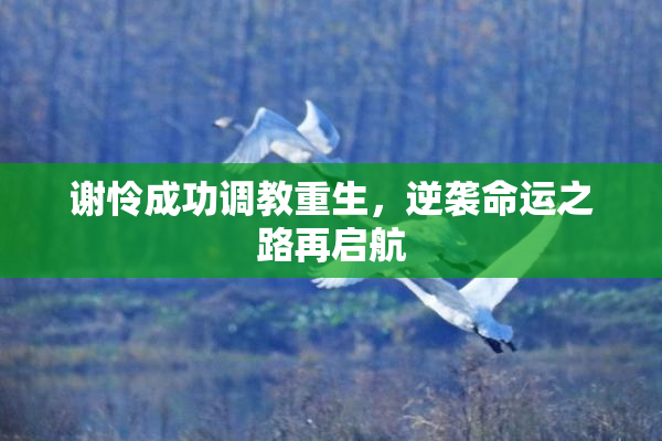 谢怜成功调教重生，逆袭命运之路再启航