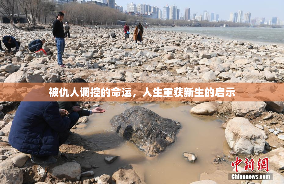 被仇人调控的命运，人生重获新生的启示