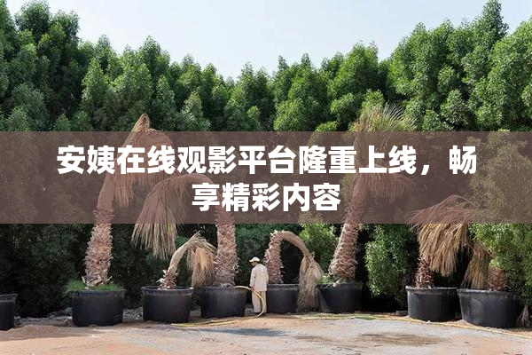 安姨在线观影平台隆重上线，畅享精彩内容