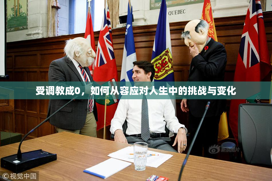 受调教成0，如何从容应对人生中的挑战与变化