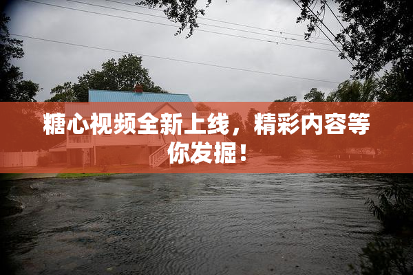 糖心视频全新上线，精彩内容等你发掘！