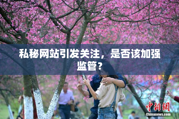 私秘网站引发关注，是否该加强监管？