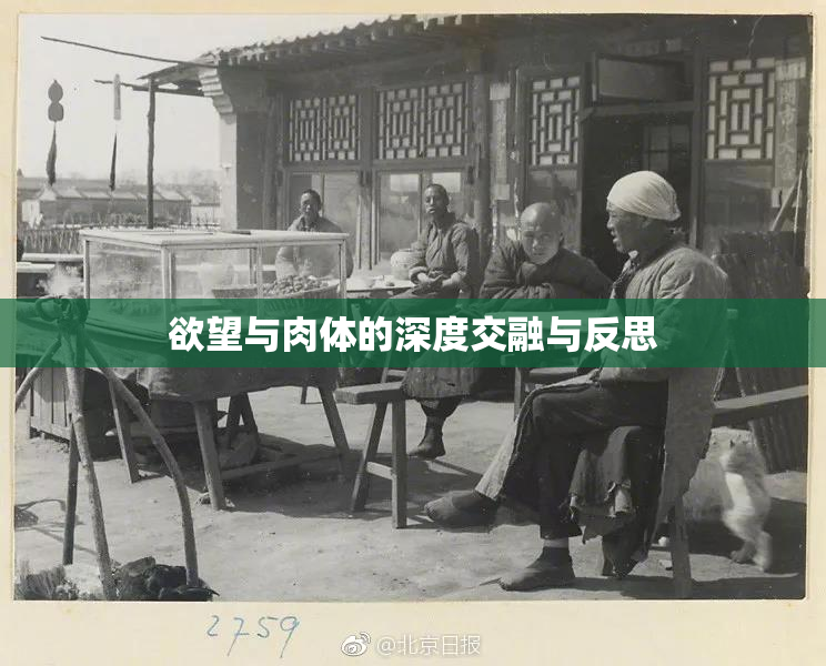 欲望与肉体的深度交融与反思