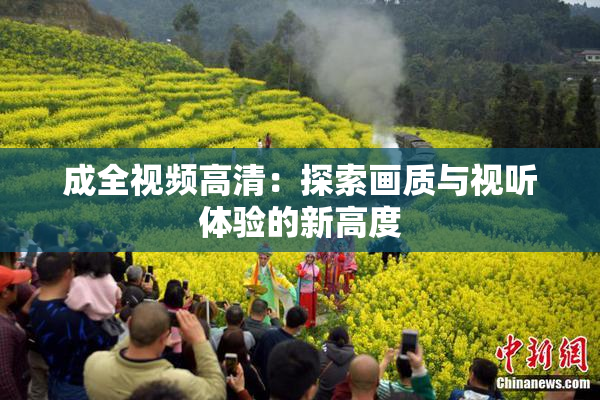 成全视频高清：探索画质与视听体验的新高度