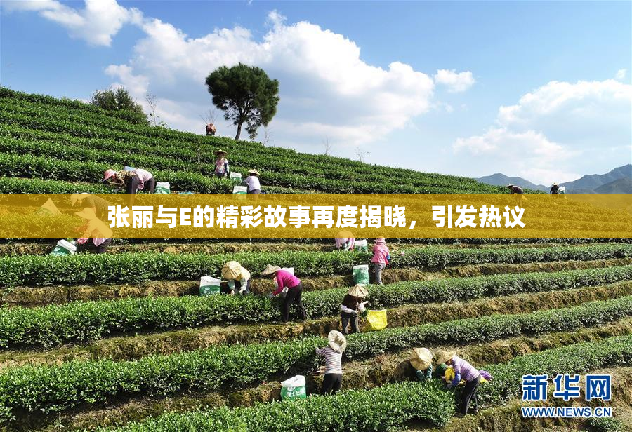 张丽与E的精彩故事再度揭晓，引发热议