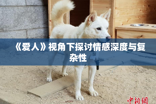 《爱人》视角下探讨情感深度与复杂性