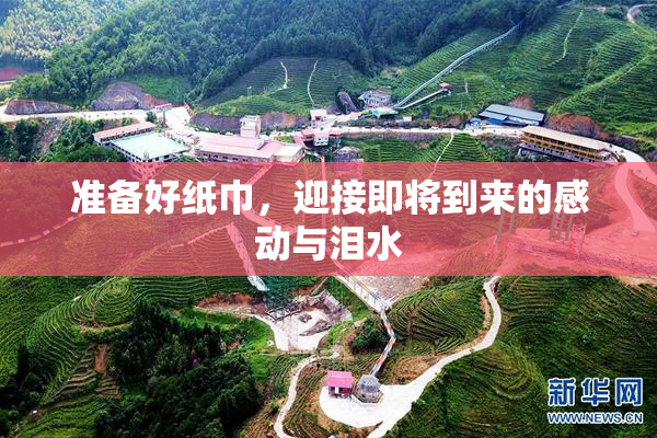 准备好纸巾，迎接即将到来的感动与泪水