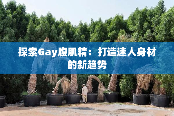 探索Gay腹肌精：打造迷人身材的新趋势