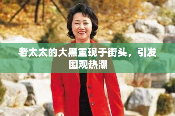 老太太的大黑重现于街头，引发围观热潮