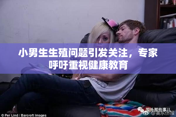小男生生殖问题引发关注，专家呼吁重视健康教育
