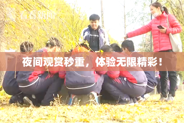 夜间观赏秒重，体验无限精彩！