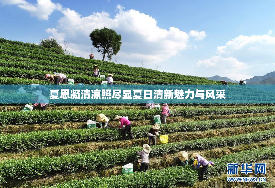夏思凝清凉照尽显夏日清新魅力与风采