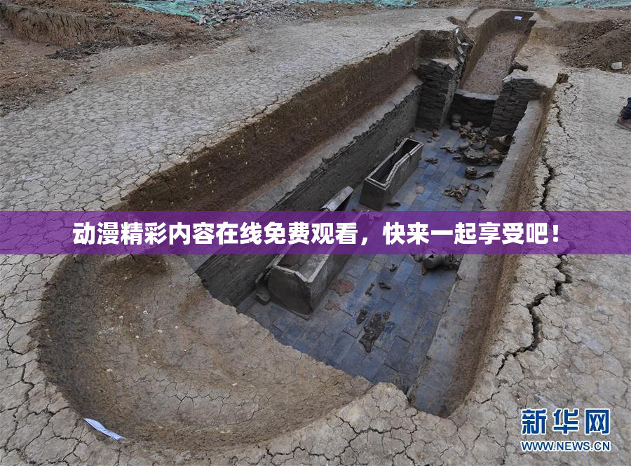 动漫精彩内容在线免费观看，快来一起享受吧！