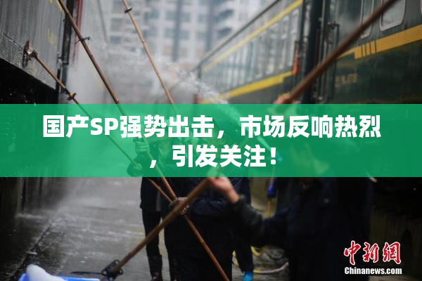 国产SP强势出击，市场反响热烈，引发关注！