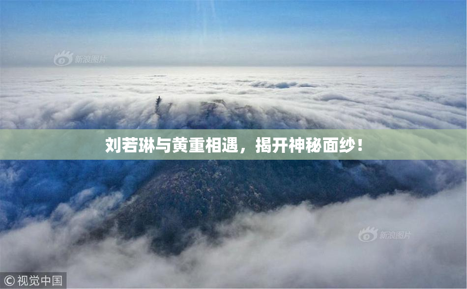 刘若琳与黄重相遇，揭开神秘面纱！