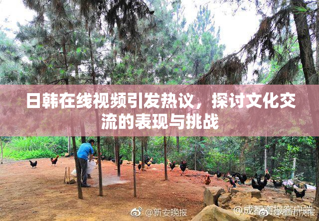 日韩在线视频引发热议，探讨文化交流的表现与挑战