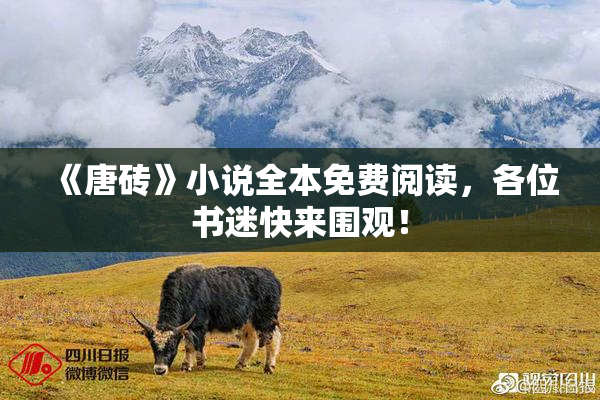 《唐砖》小说全本免费阅读，各位书迷快来围观！