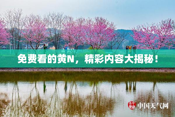 免费看的黄Ν，精彩内容大揭秘！