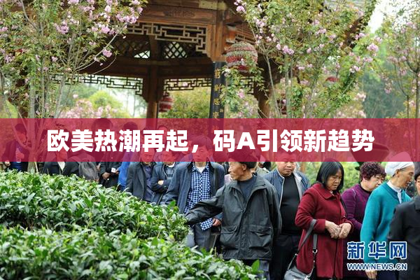 欧美热潮再起，码A引领新趋势