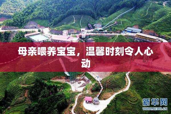 母亲喂养宝宝，温馨时刻令人心动