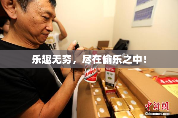 乐趣无穷，尽在偷乐之中！