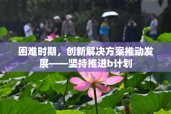 困难时期，创新解决方案推动发展——坚持推进b计划