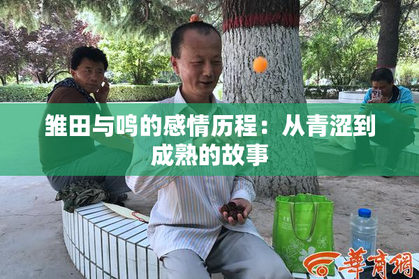 雏田与鸣的感情历程：从青涩到成熟的故事