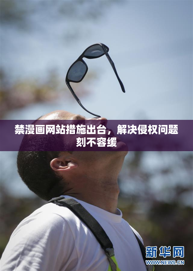 禁漫画网站措施出台，解决侵权问题刻不容缓