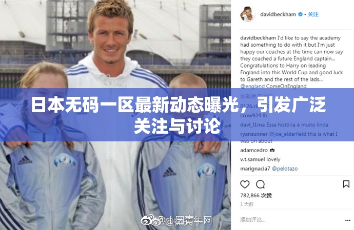 日本无码一区最新动态曝光，引发广泛关注与讨论