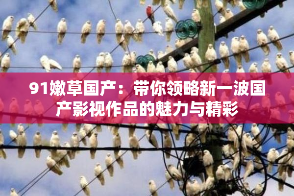 91嫩草国产：带你领略新一波国产影视作品的魅力与精彩