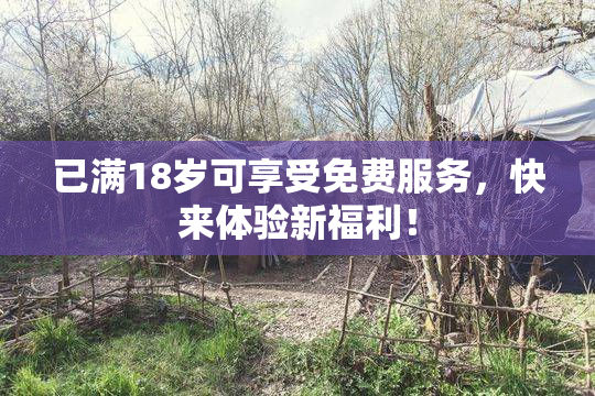 已满18岁可享受免费服务，快来体验新福利！
