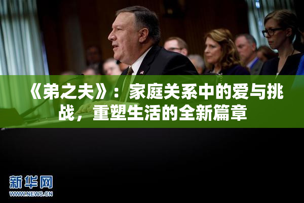 《弟之夫》：家庭关系中的爱与挑战，重塑生活的全新篇章