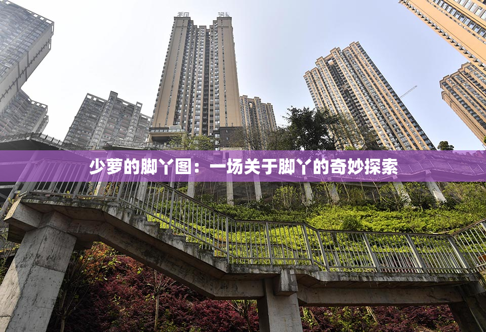 少萝的脚丫图：一场关于脚丫的奇妙探索
