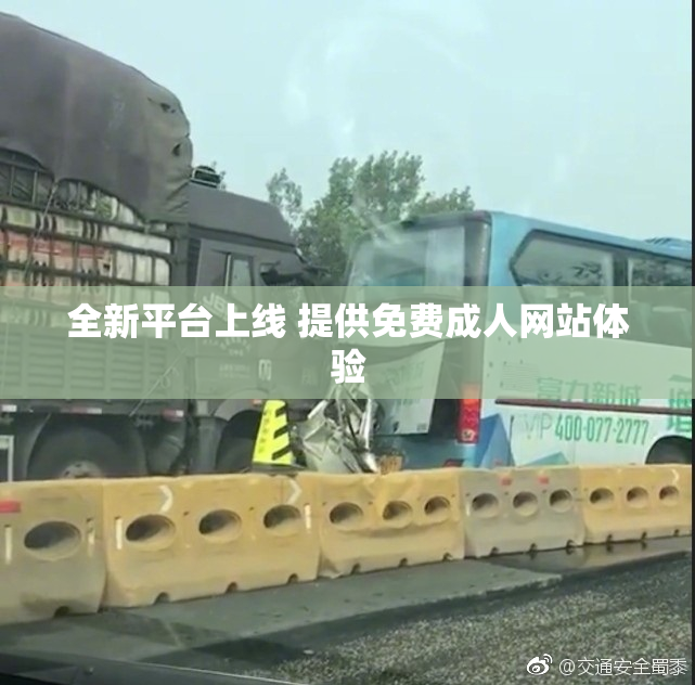 全新平台上线 提供免费成人网站体验