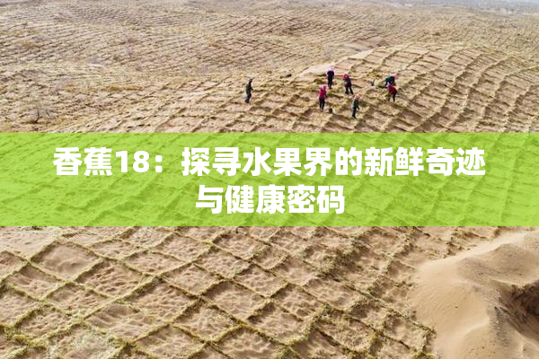 香蕉18：探寻水果界的新鲜奇迹与健康密码