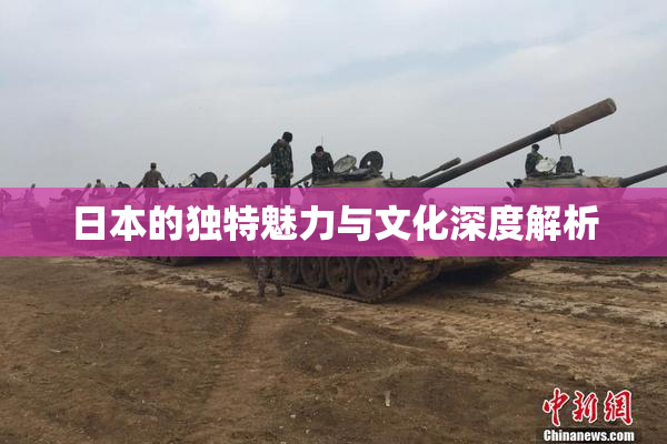 日本的独特魅力与文化深度解析