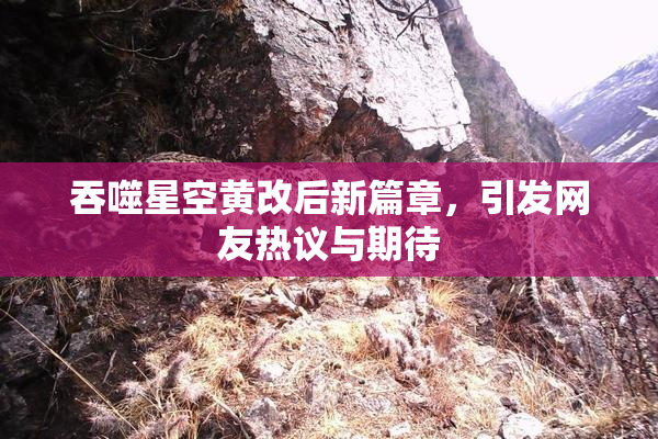 吞噬星空黄改后新篇章，引发网友热议与期待