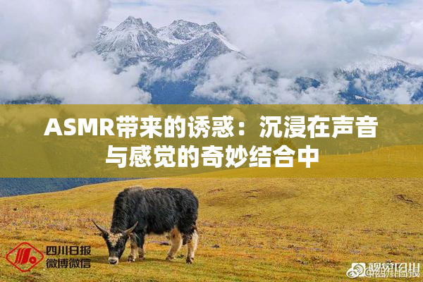 ASMR带来的诱惑：沉浸在声音与感觉的奇妙结合中