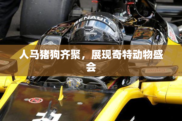人马猪狗齐聚，展现奇特动物盛会