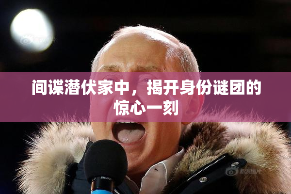 间谍潜伏家中，揭开身份谜团的惊心一刻