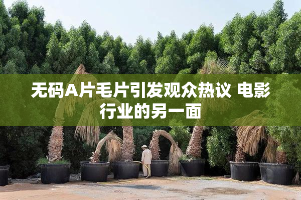 无码A片毛片引发观众热议 电影行业的另一面