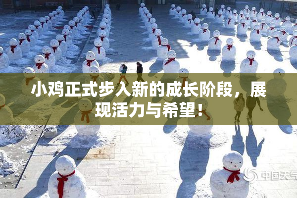 小鸡正式步入新的成长阶段，展现活力与希望！