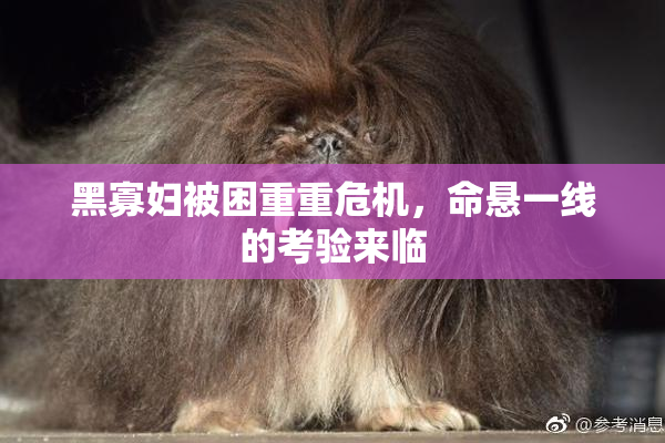 黑寡妇被困重重危机，命悬一线的考验来临