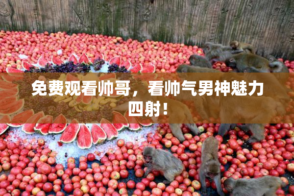 免费观看帅哥，看帅气男神魅力四射！